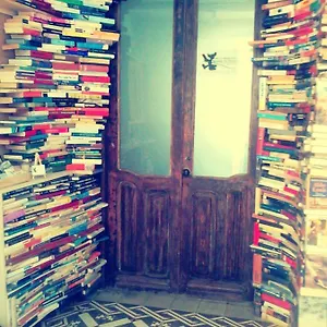 Ratones De Biblioteca Pensión